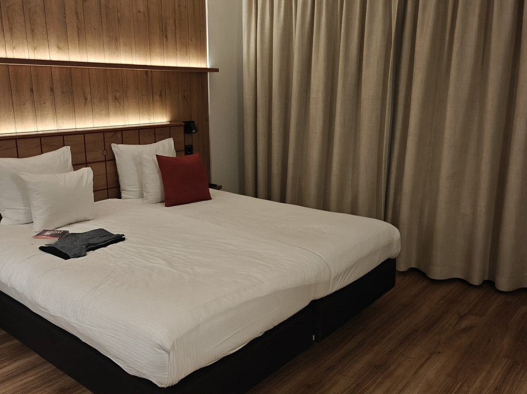 Hotel Du Commerce主图