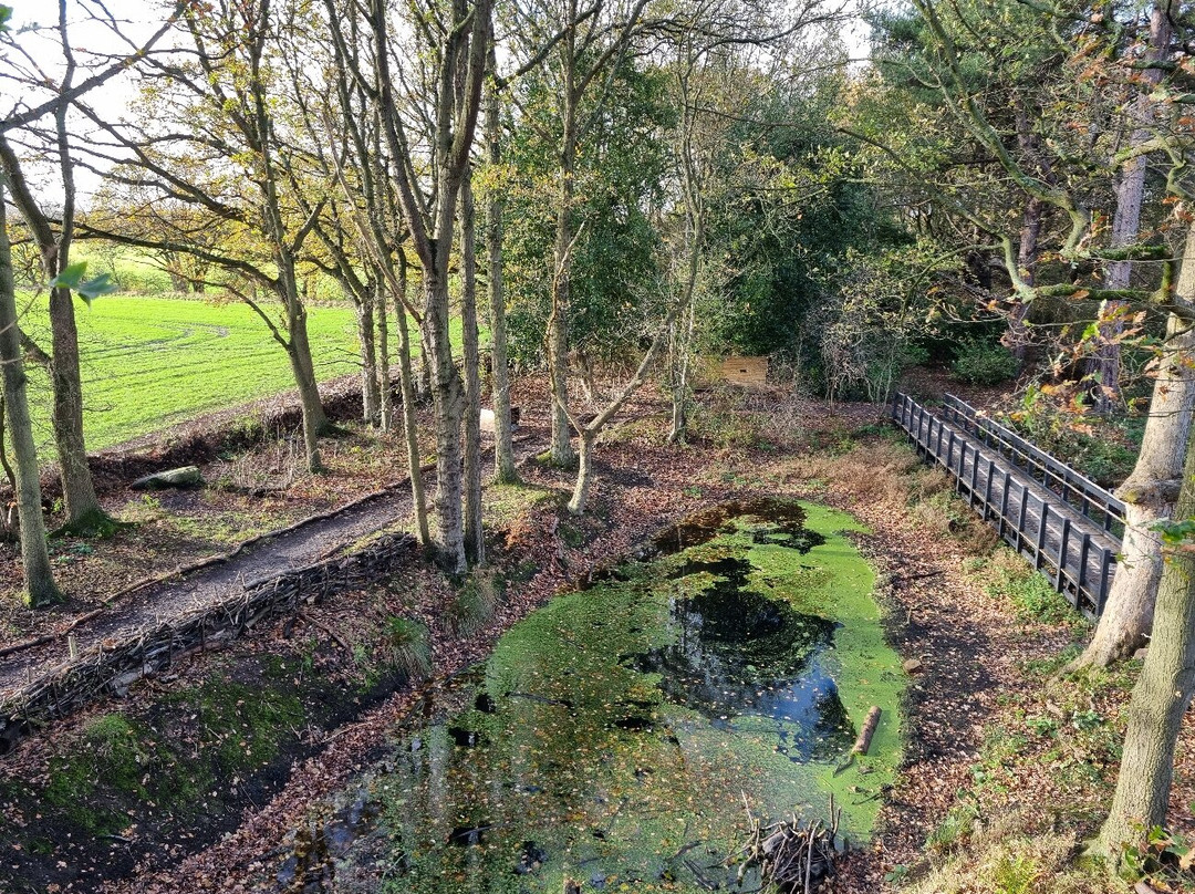 National Trust - Moseley Old Hall-沃尔夫汉普顿必去景点