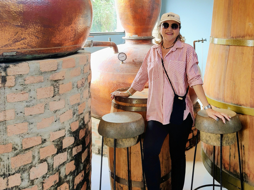 Destilaria Monte Verde-蒙特贝尔德必去景点