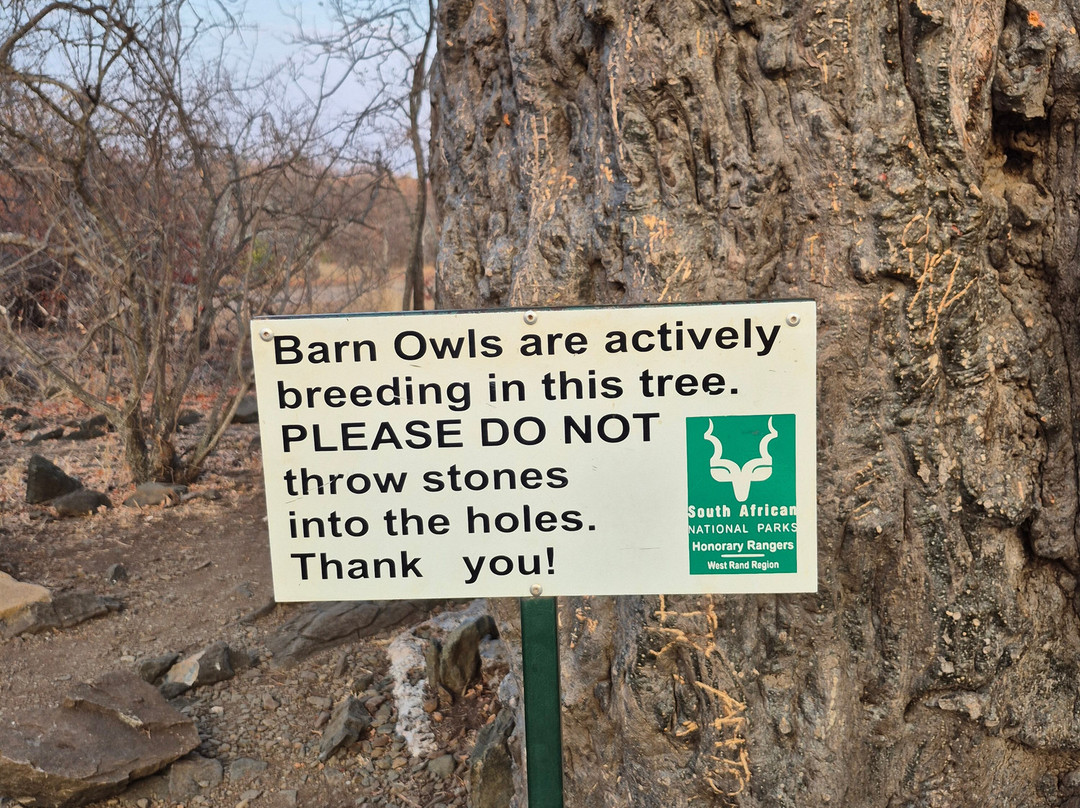 Bushbaby Adventures-伐拉博瓦必去景点