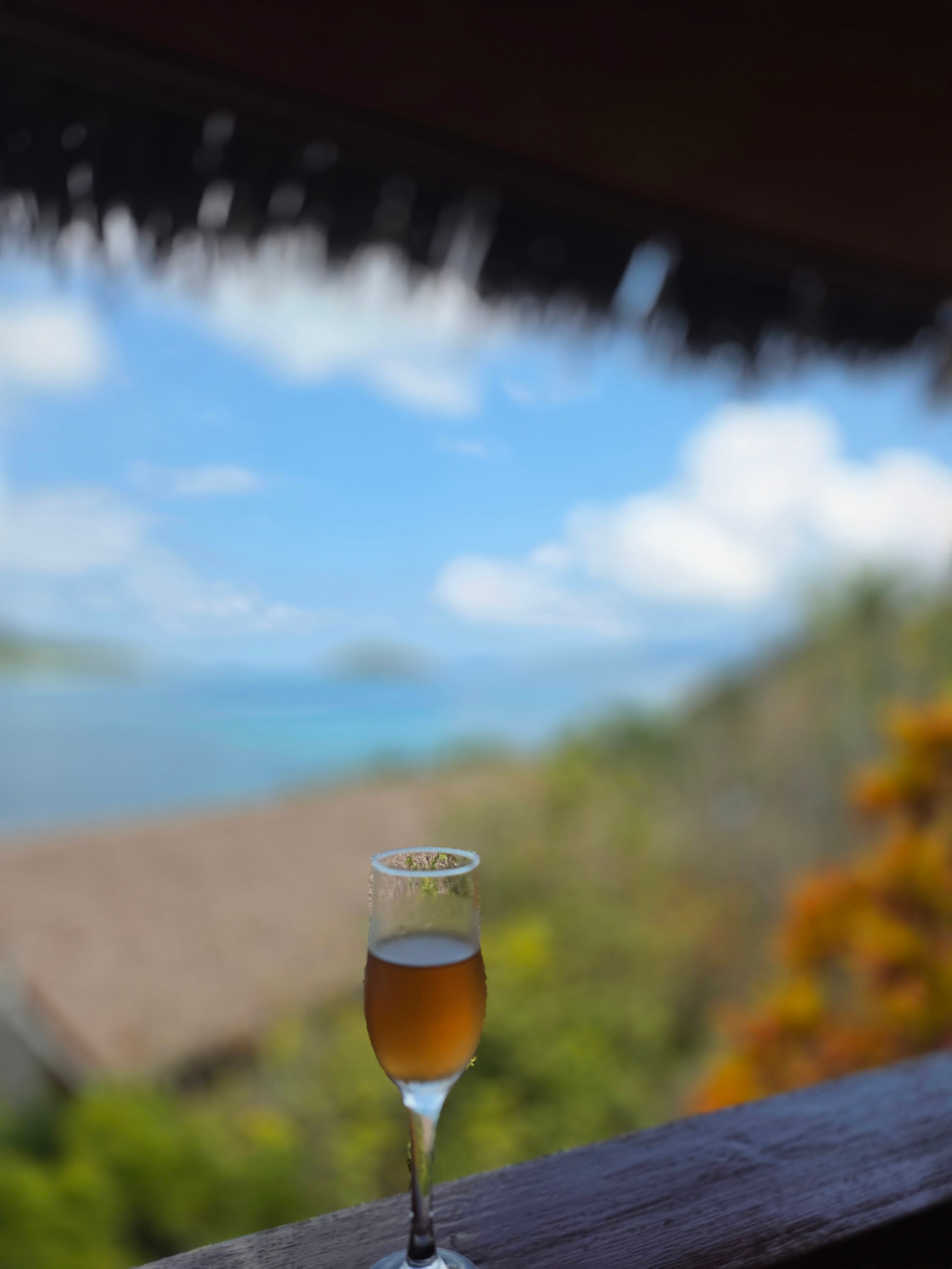 Colibri Guesthouse-官方