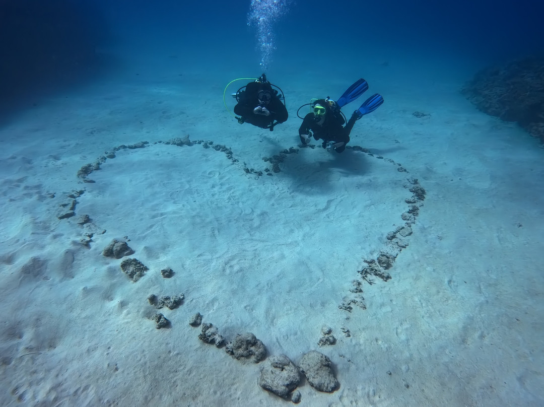 Gorilla Chop-本部町必去景点