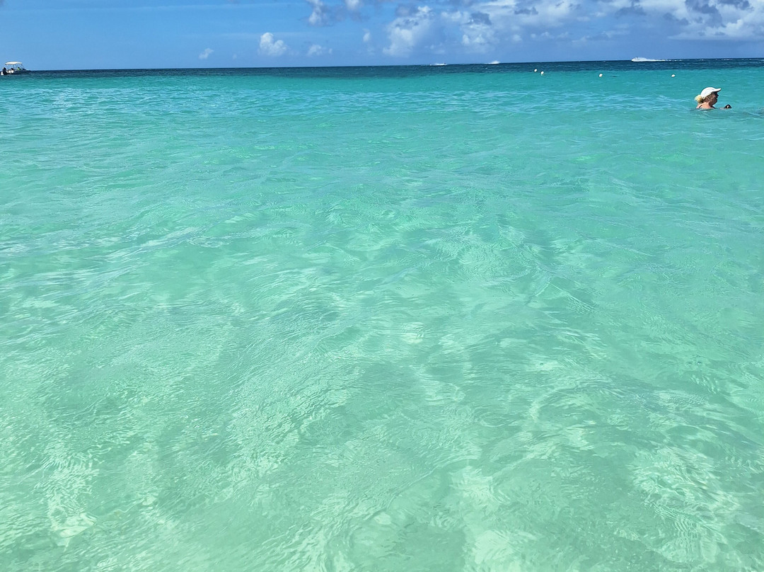 Mariposa Tours-Bayahibe必去景点