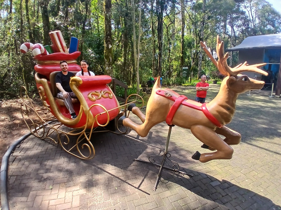 Luvitransfer receptivos