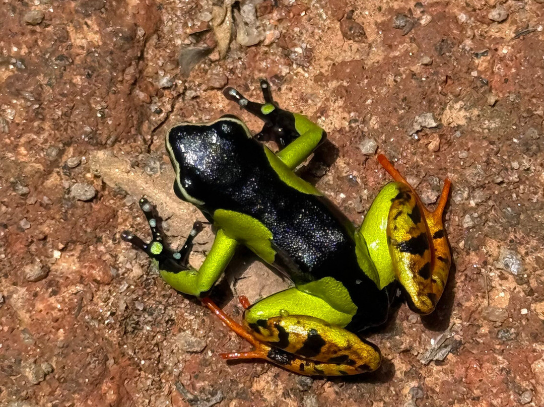 Madarako Tours-安塔那那利佛必去景点