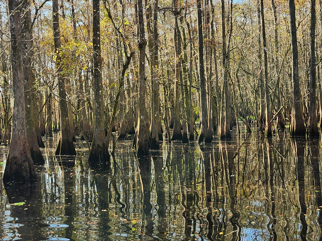 AirBoat Rides at Midway-Christmas必去景点