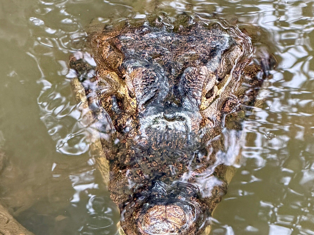 Panama Road Trips-巴拿马城必去景点