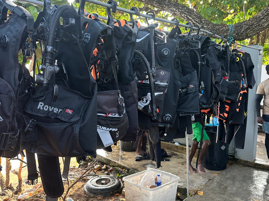 Mirissa Dive Center-美蕊沙必去景点