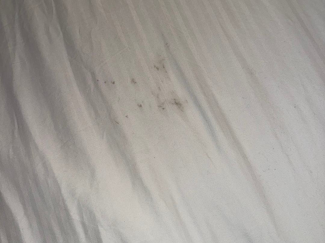 La Quinta Inn & Suites by Wyndham Atlanta Conyers主图