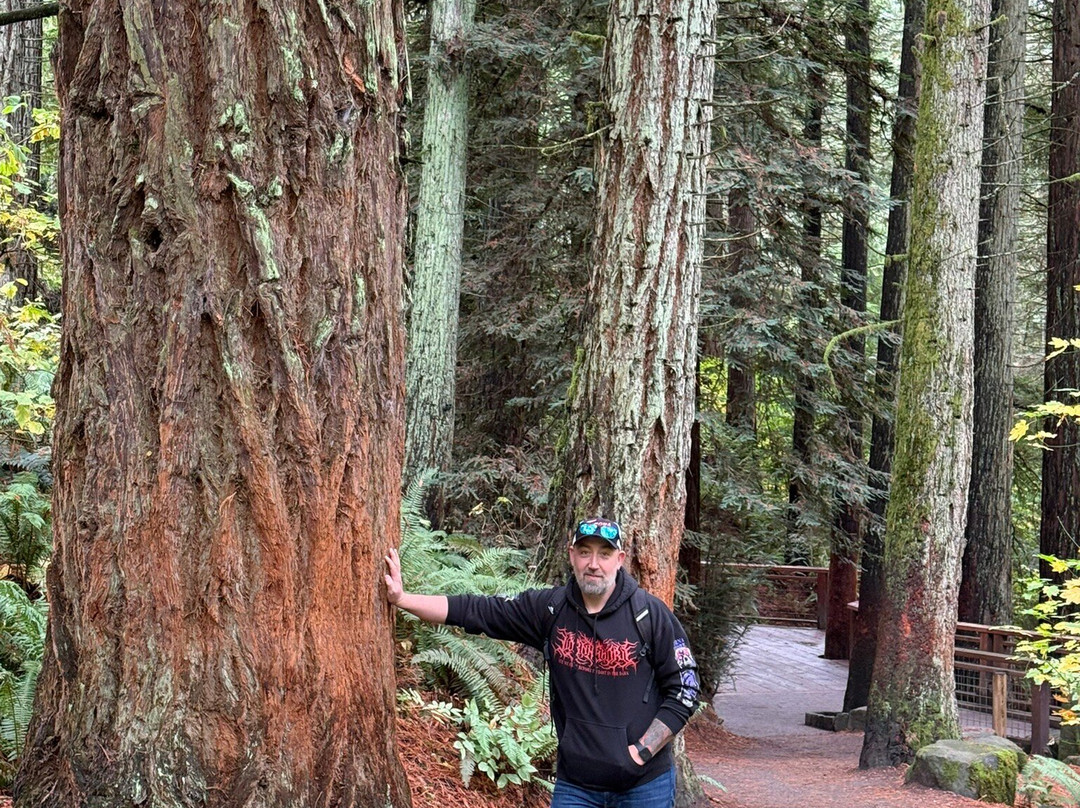 Hoyt Arboretum-波特兰必去景点