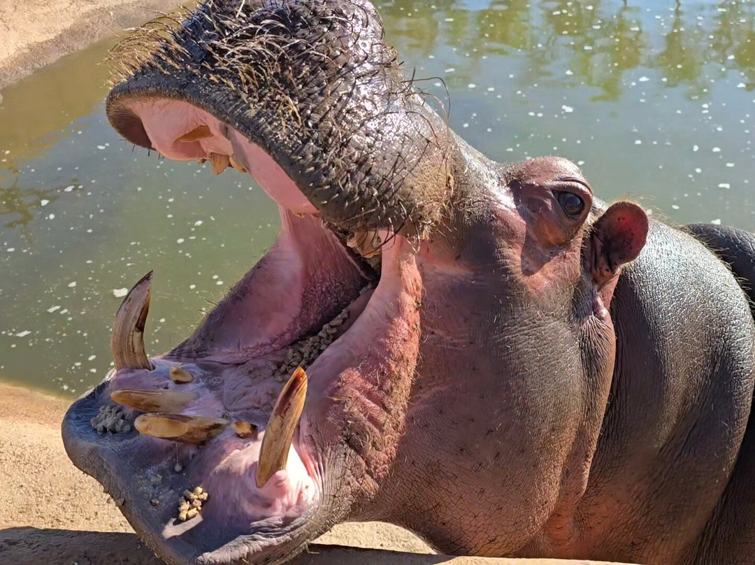 Pai Pai Ecotourism Park-恩塞纳达必去景点