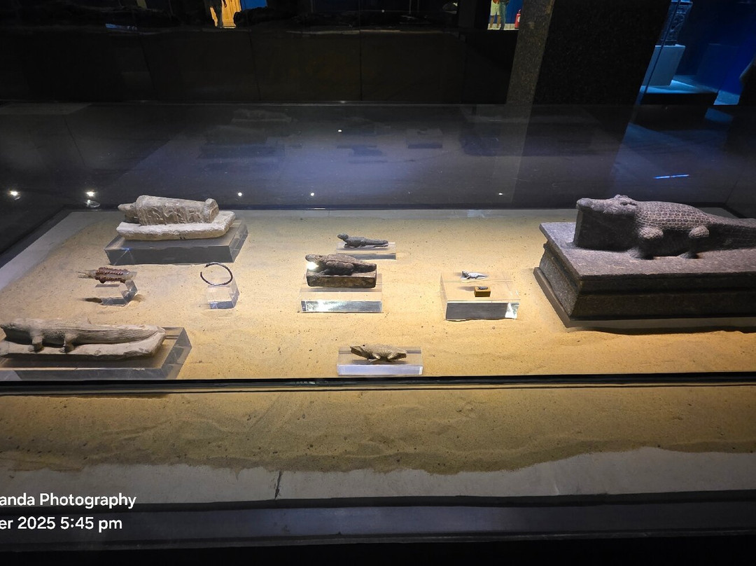 Crocodile Museum-Kom Ombo必去景点
