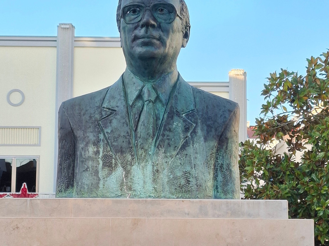 Estátua Carlos Alberto Mota Pinto-Pombal必去景点