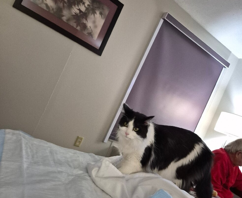 Red Roof Inn Paducah主图