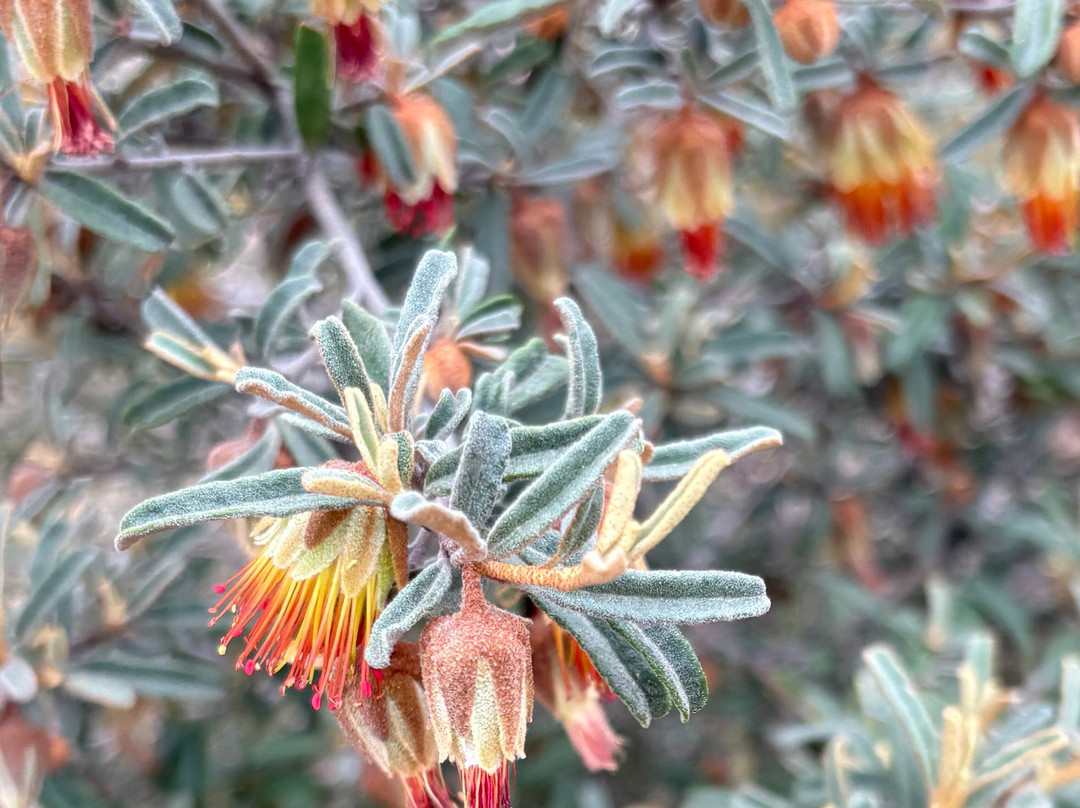 Luxury Outback Tours-珀斯必去景点