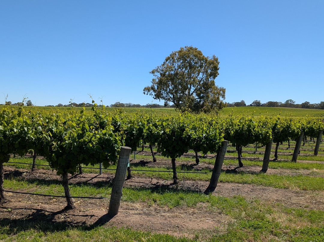 Kies Family Wines-林道必去景点