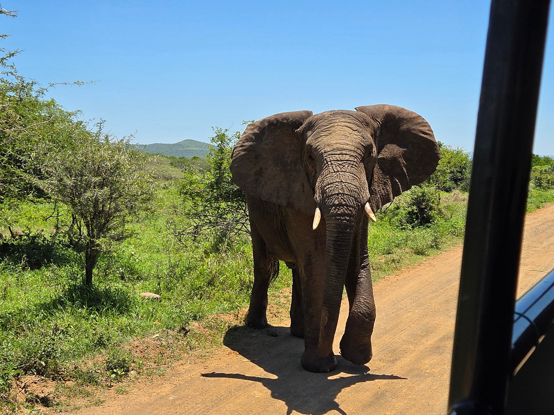 EuroZulu Guided Tours & Safaris-圣露西亚必去景点