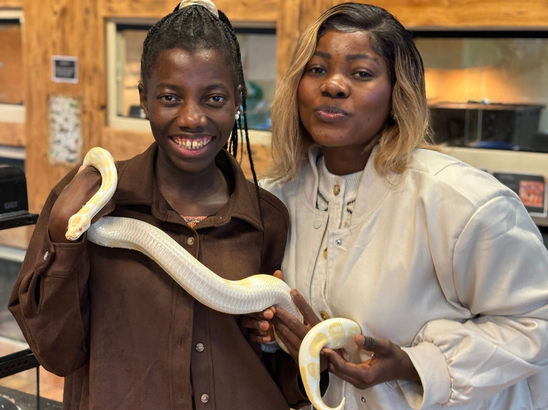 Really Wild Planet-比迪福德必去景点