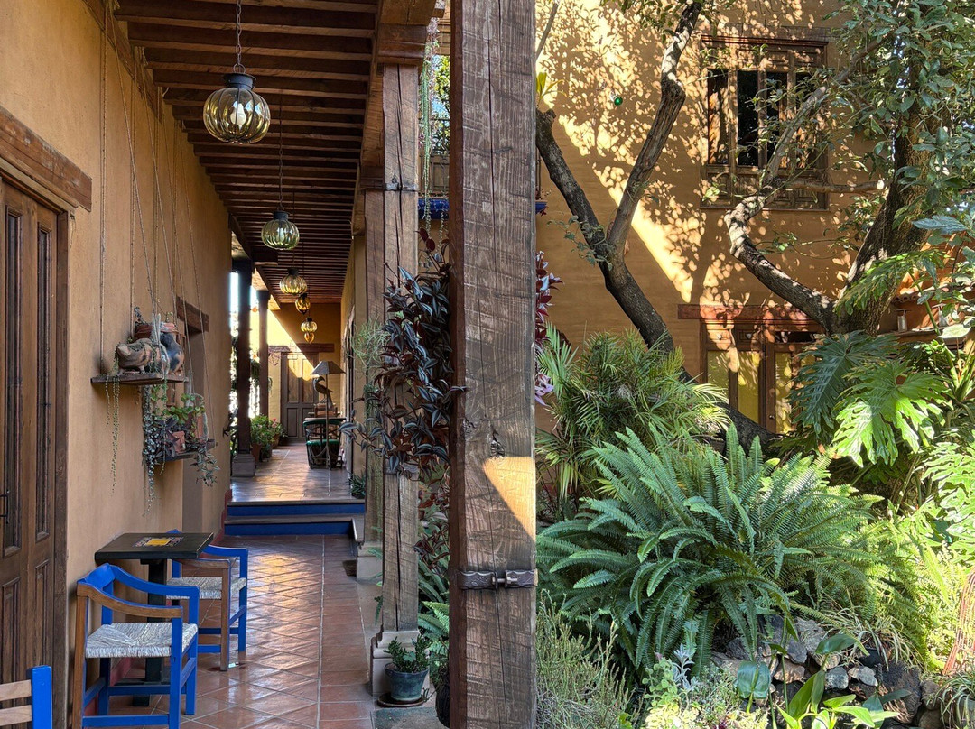 Hotel Posada Yolihuani主图