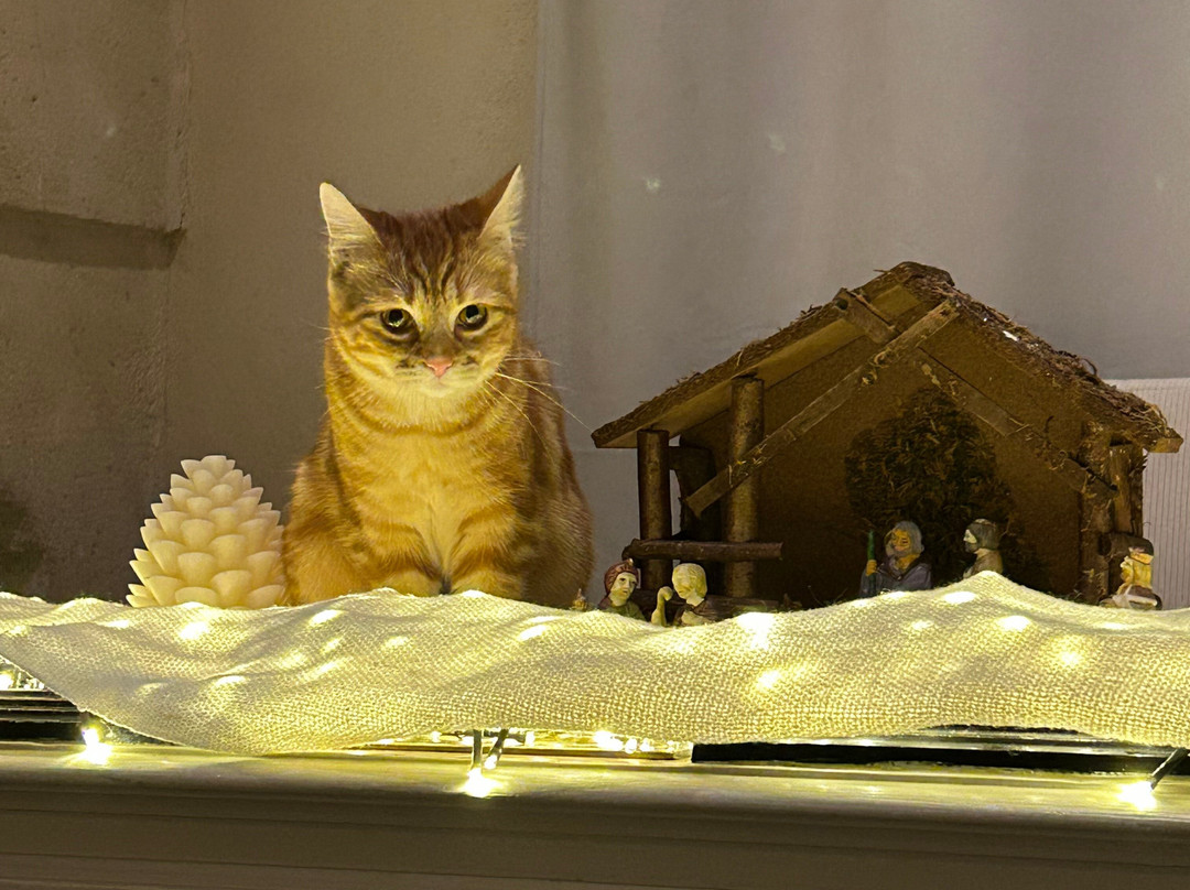 La Ferme Fanost主图