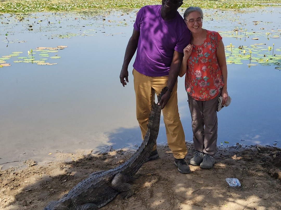 Uprise Travel-Tamale必去景点