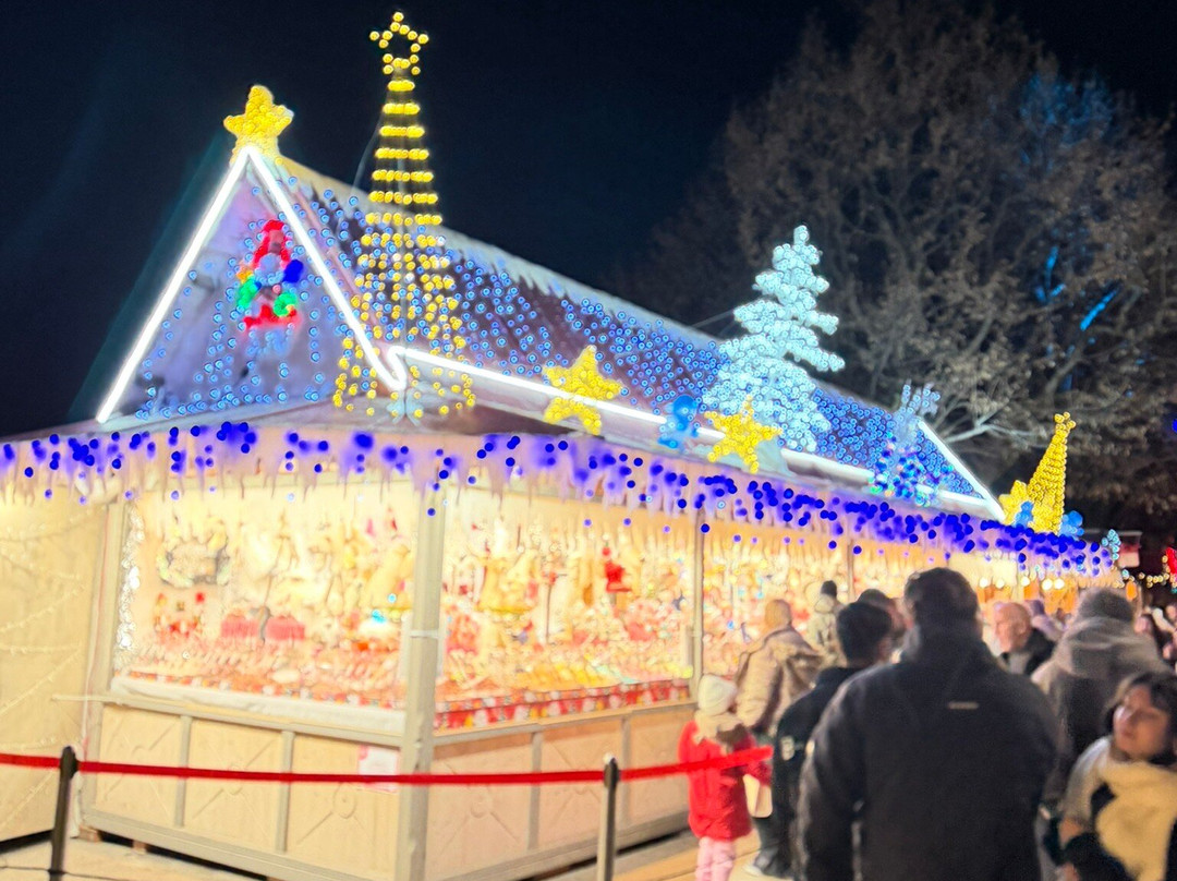 Christmas Market in Montreux-蒙特勒必去景点