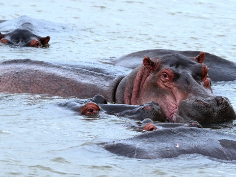 Rare Earth Tours-温德和克必去景点