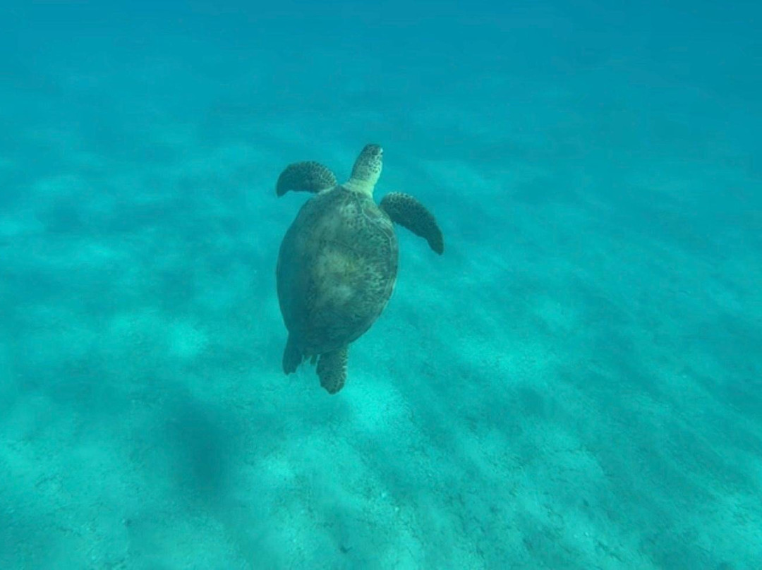 Grace Travel-马萨阿拉姆必去景点