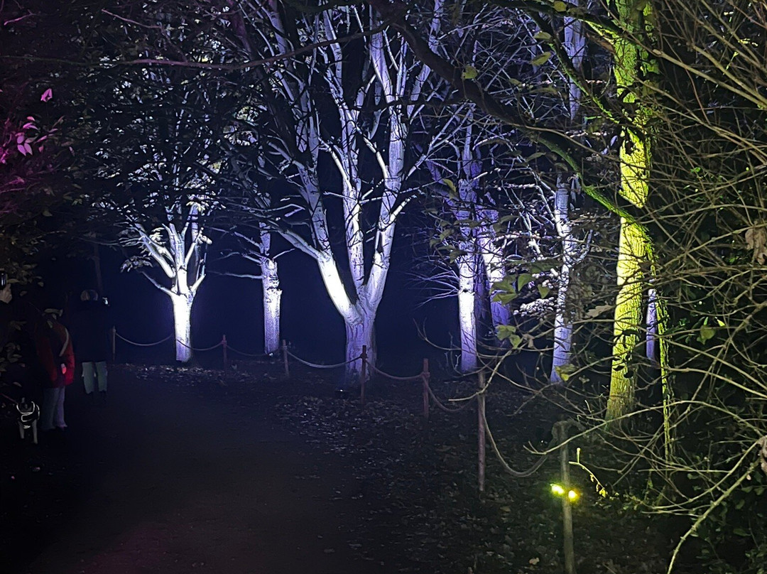 Calke Abbey-Ticknall必去景点