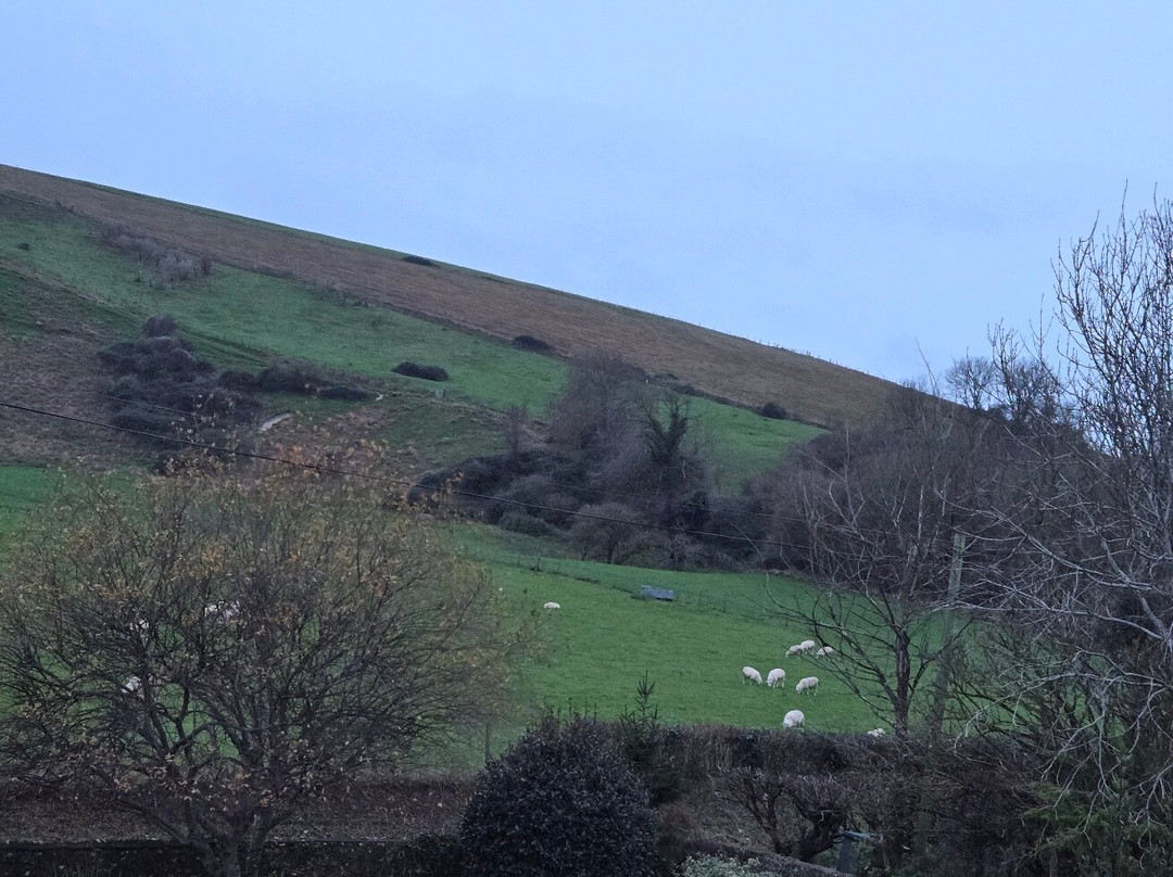 Tottington Manor主图