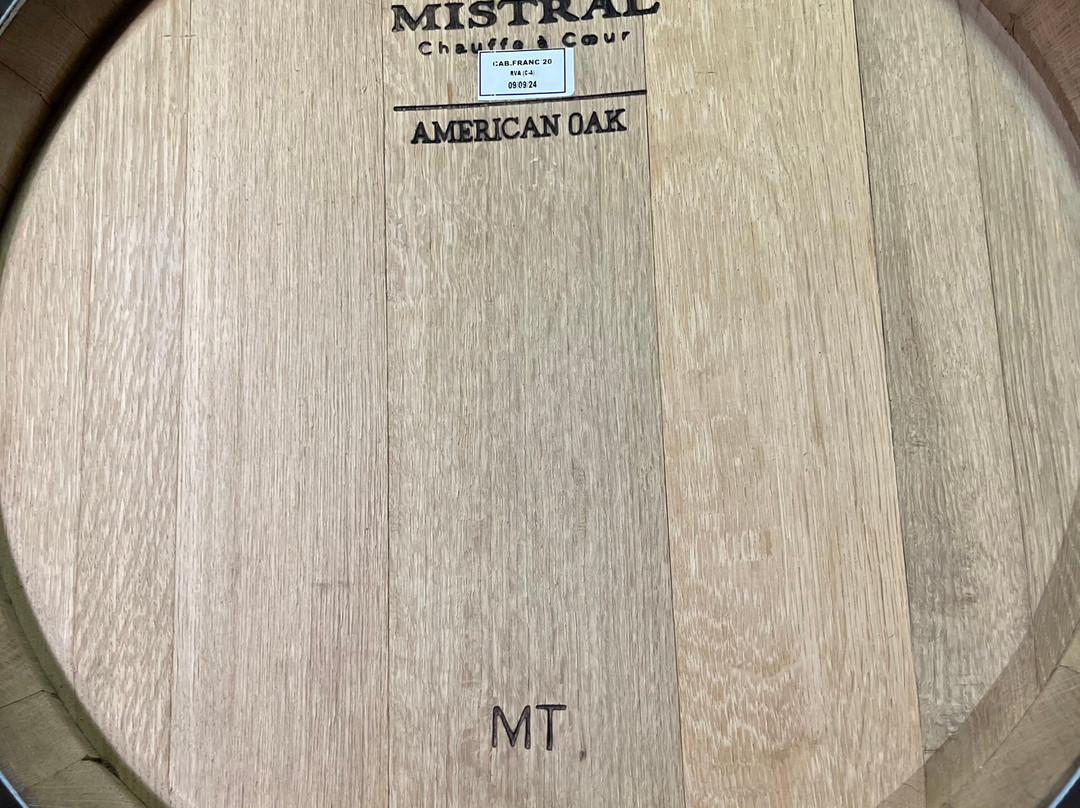 Bodega Alfredo Roca-圣拉斐尔必去景点