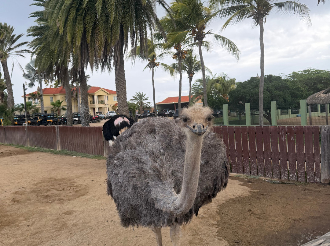 Philip's Animal Garden-Noord必去景点