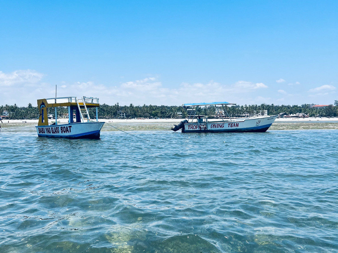 Mombasa Marine National Park-蒙巴萨必去景点