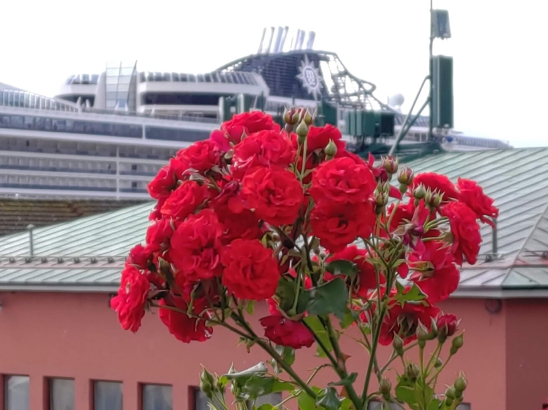 Rosehagen - rose garden-莫尔德必去景点