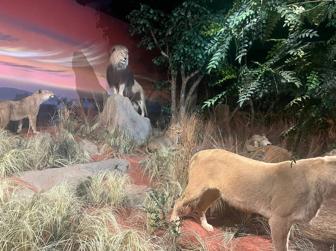 Rolling Hills Zoo-萨利纳必去景点