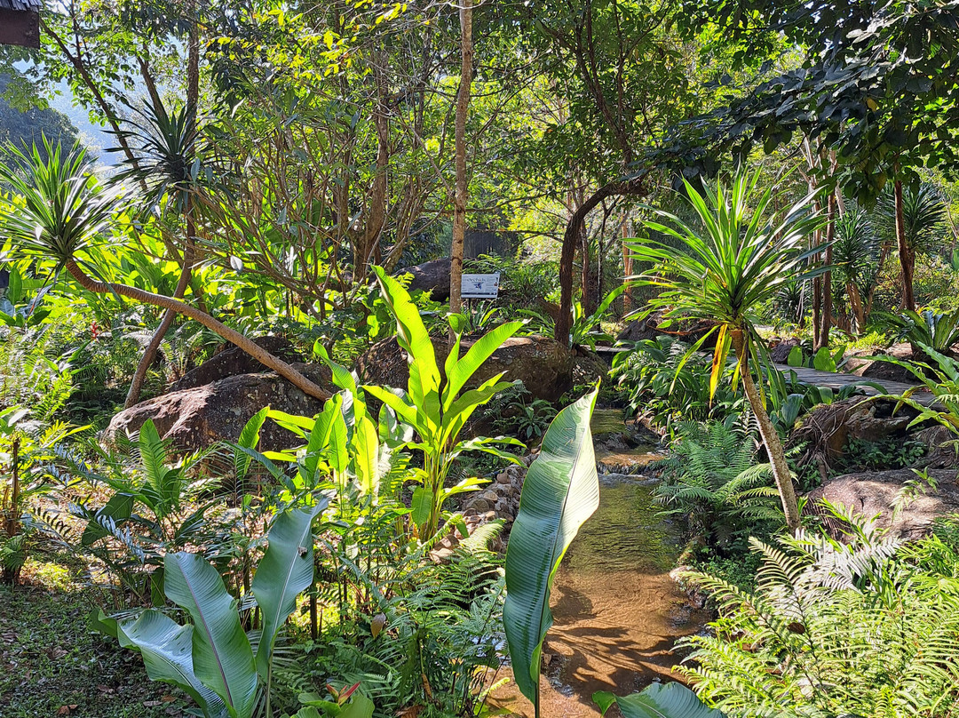 Nam Kat Waterfall-乌多姆赛必去景点