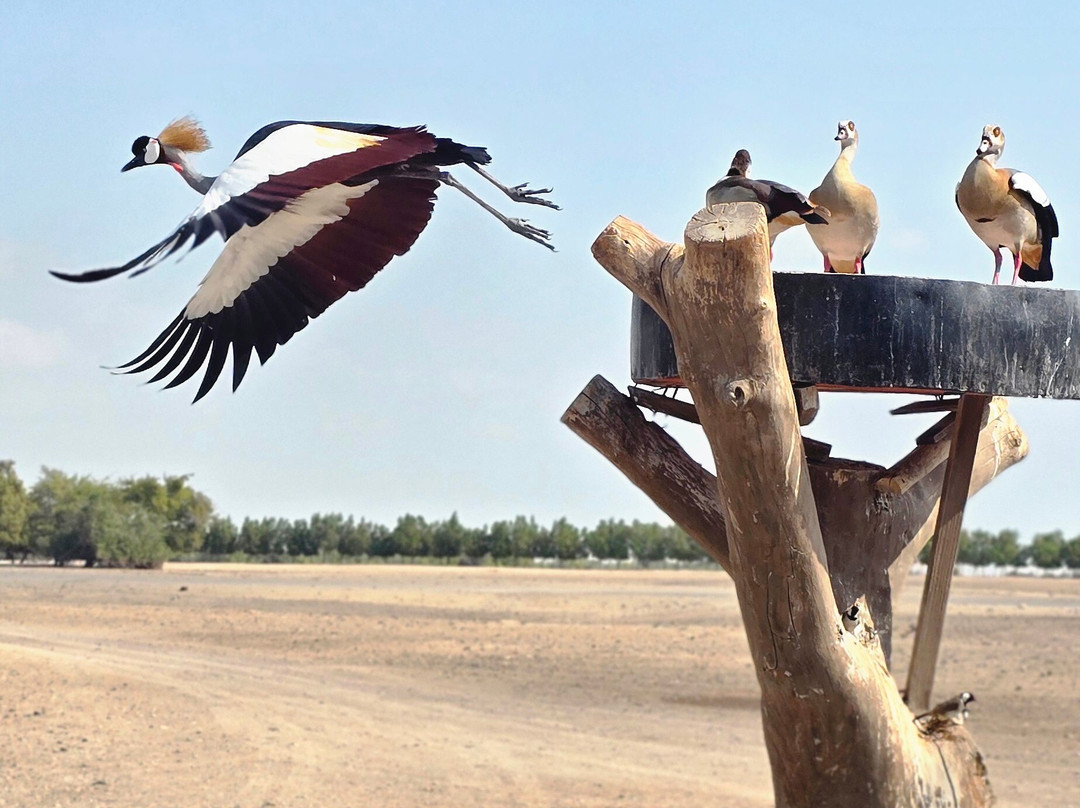 HolidayPanda-萨巴尼亚岛必去景点