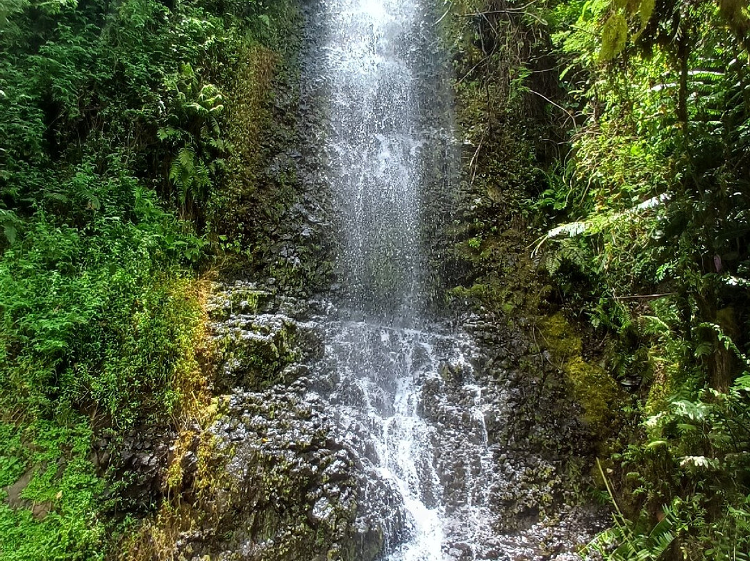 Tahiti Safari Expedition-阿鲁埃必去景点