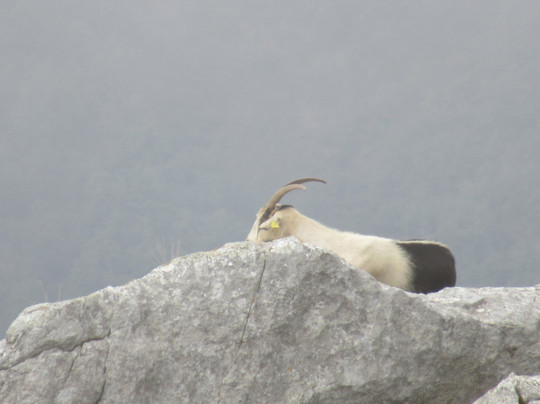 Mirador De Piedrasluengas-Pesaguero必去景点