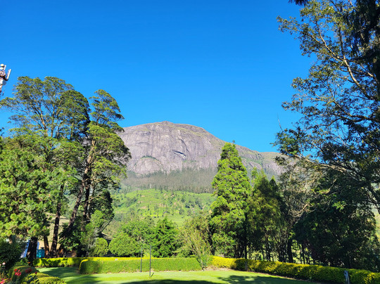 Talayar Valley Bungalow主图