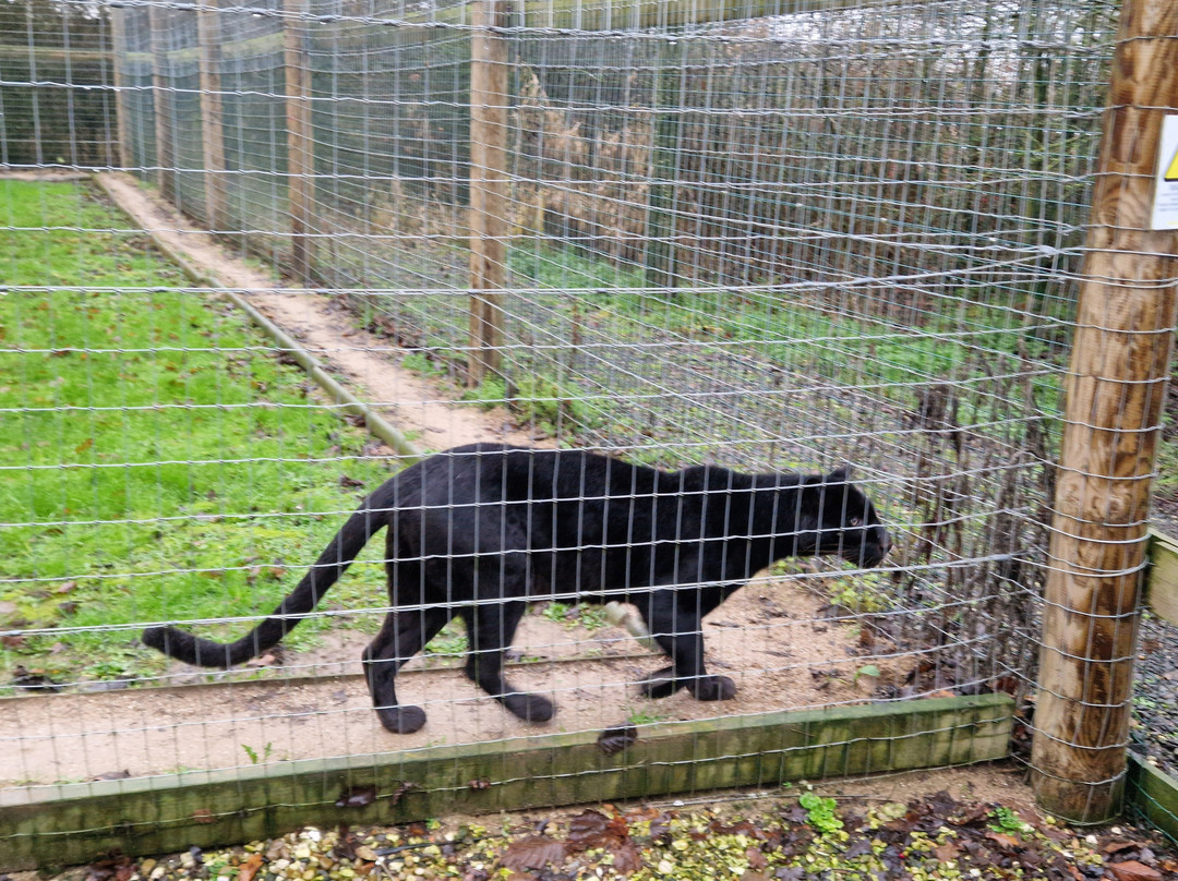 Lincolnshire Wildlife Park-Friskney必去景点