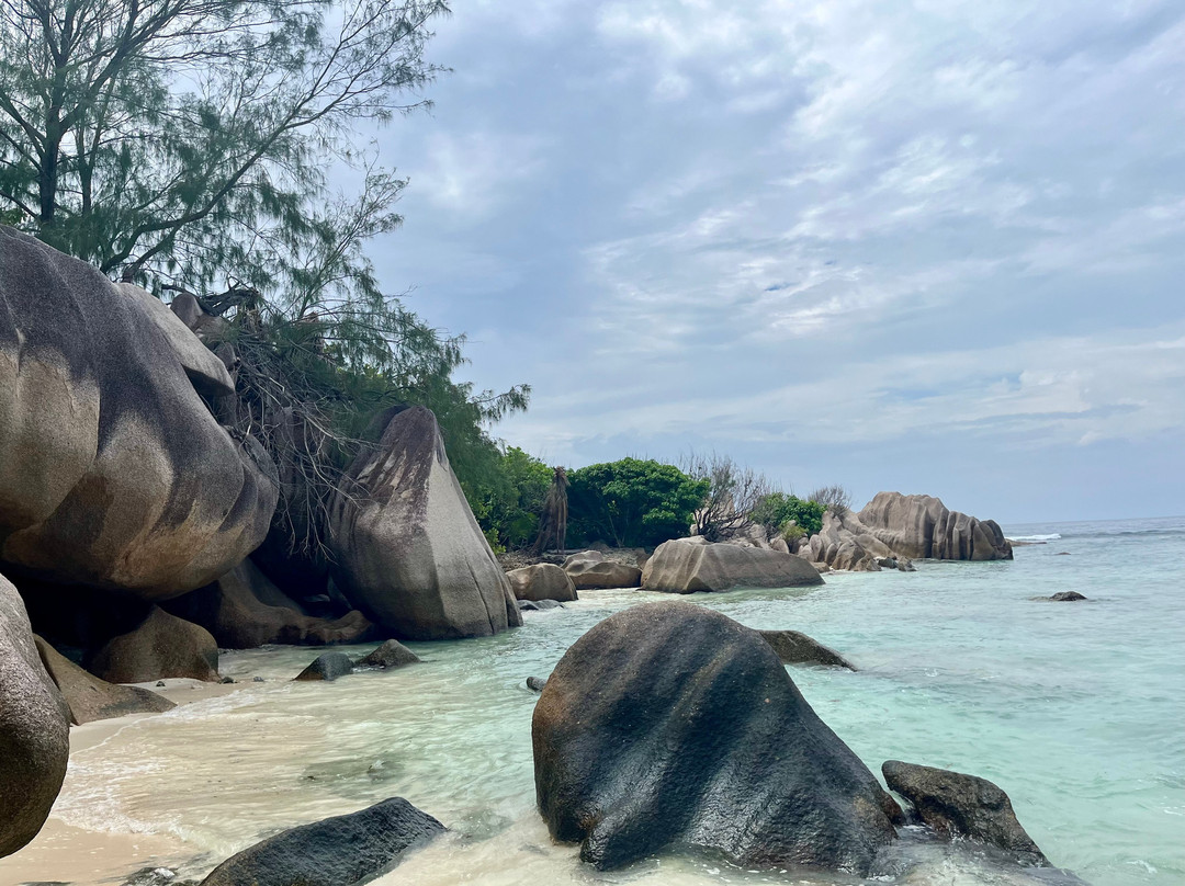 Crystal Water Kayaks-L'Union必去景点