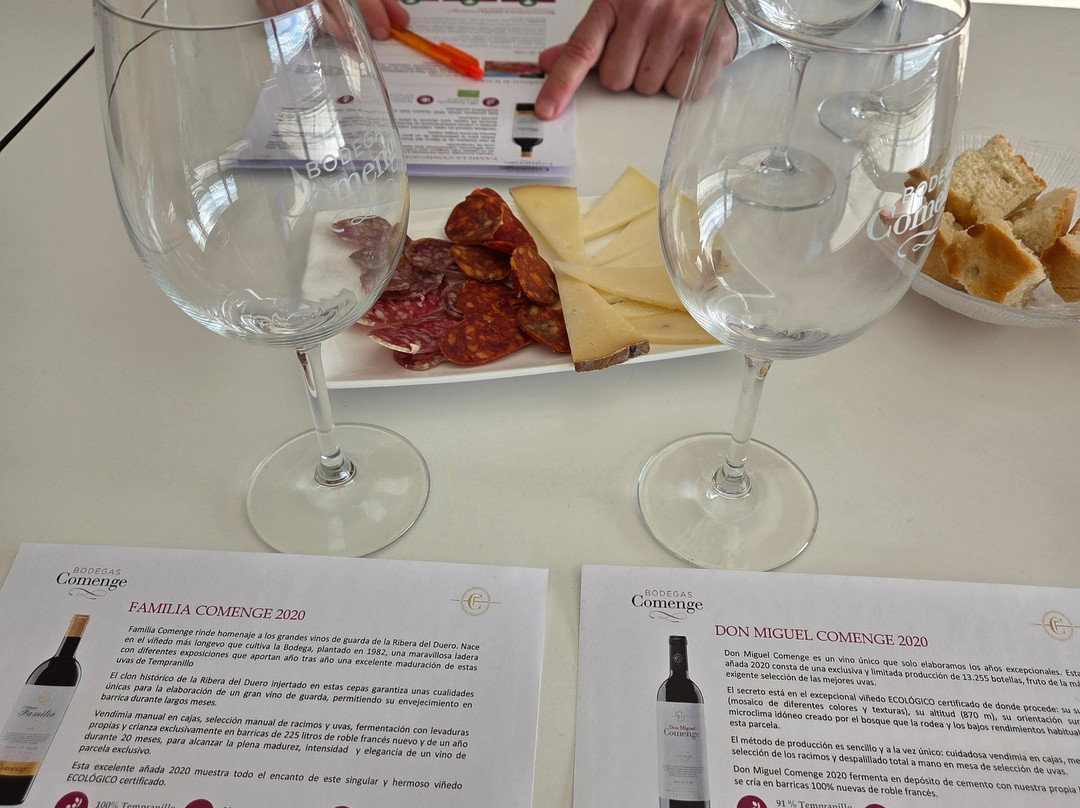 Bodegas Comenge-Curiel de Duero必去景点