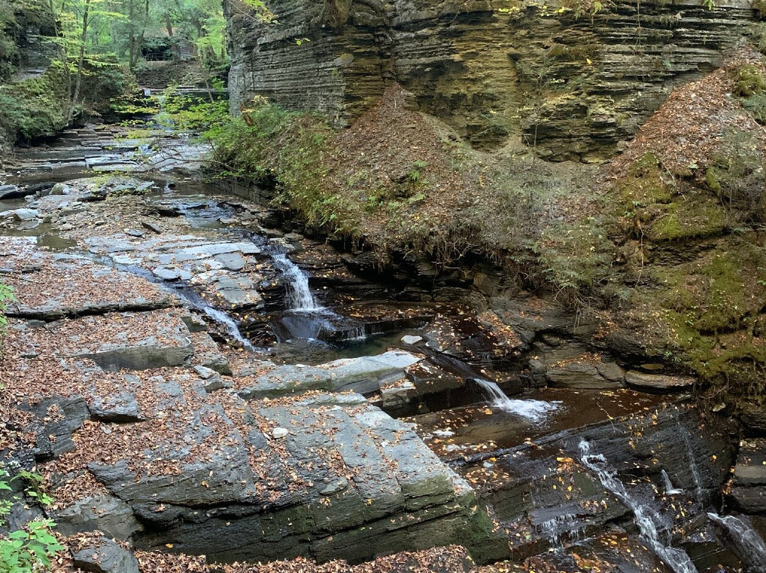Fillmore Glen State Park-Moravia必去景点