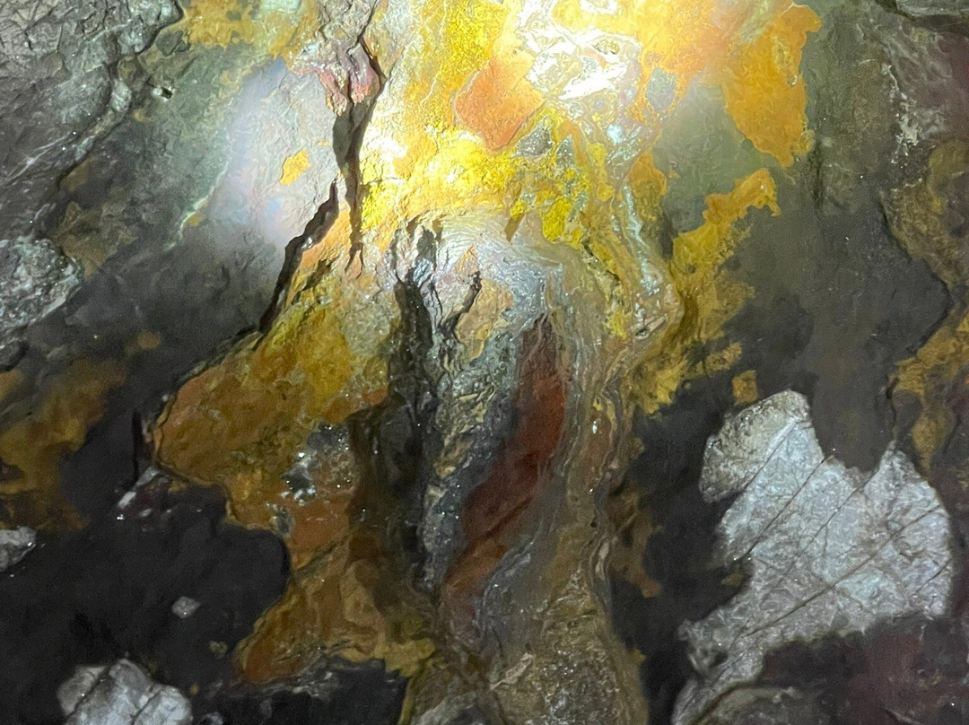 Copper Queen Mine Tour-比斯比必去景点