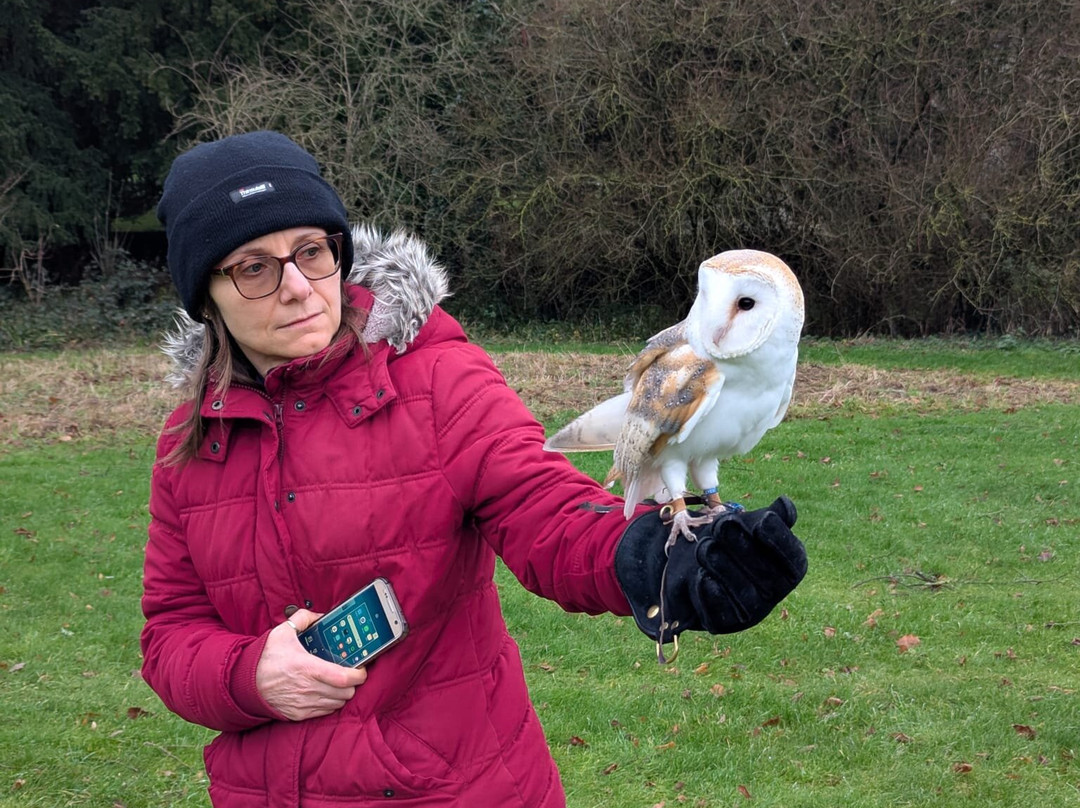 Hampshire Hawk Walks-Alton必去景点
