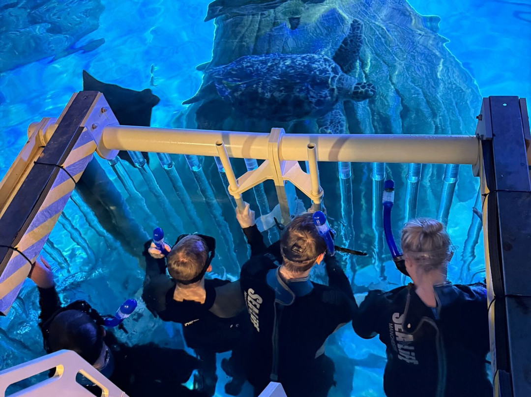 Sea Life Manchester-Trafford Park必去景点