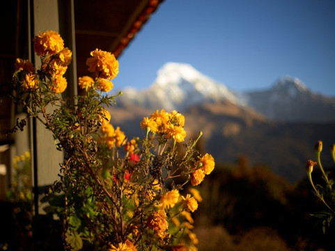 Nepal Trek Hub-加德满都必去景点