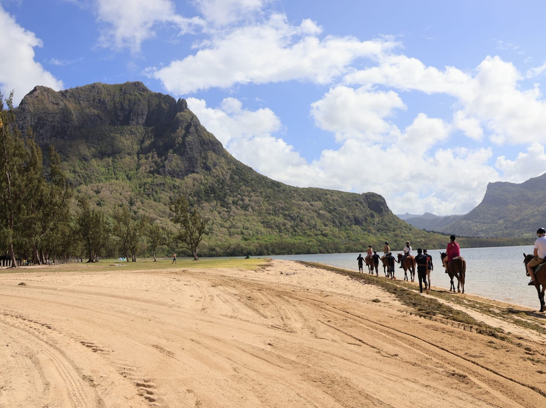 Haras Du Morne-莫纳山必去景点