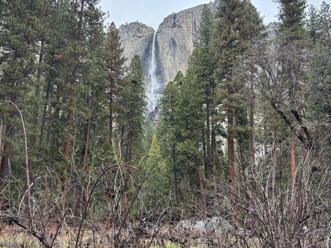 Yosemite Private Tours-Wawona必去景点